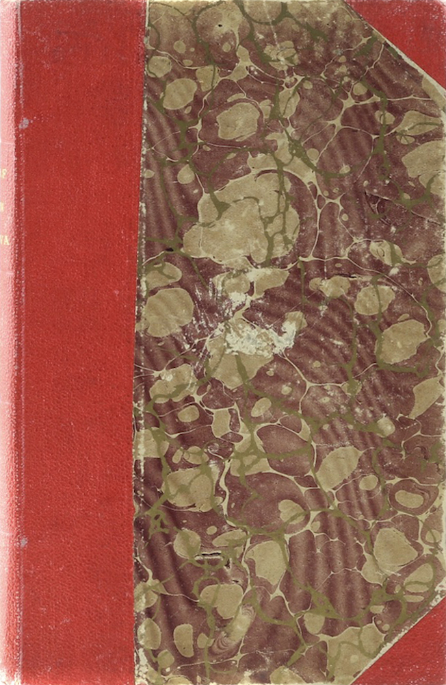 Erhard, Johann Nepomuk Graf von Triva, K. B. General der Artillerie - Der erste